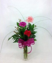 Carnation Trio from Carl Johnsen Florist in Beaumont, TX