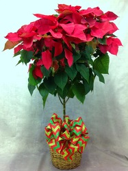 Poinsettia Tree from Carl Johnsen Florist in Beaumont, TX