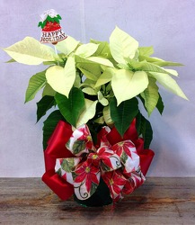 LUCKY IN LOVE from Carl Johnsen Florist in Beaumont, TX