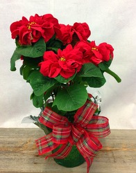 Winter Rose Poinsettia from Carl Johnsen Florist in Beaumont, TX