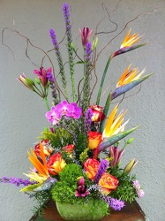 Bright And Bold Tropical Arrangement from Carl Johnsen Florist in Beaumont, TX