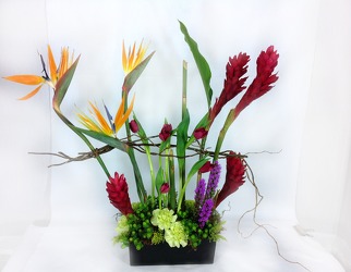 Modern Tropical Arrangement  from Carl Johnsen Florist in Beaumont, TX