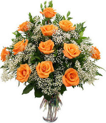 Dozen Orange Roses  from Carl Johnsen Florist in Beaumont, TX