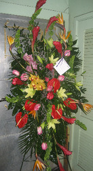 Tropical Tribute from Carl Johnsen Florist in Beaumont, TX