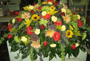 Pods And Blooms from Carl Johnsen Florist in Beaumont, TX