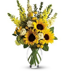 Yellow Sunflower Mix from Carl Johnsen Florist in Beaumont, TX