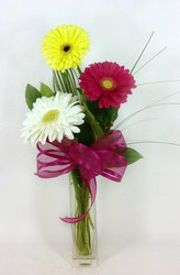 Mixed Daisy Trio from Carl Johnsen Florist in Beaumont, TX