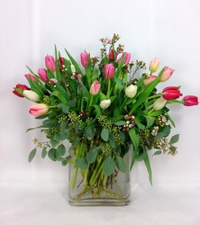 Two Dozen Mixed Tulips from Carl Johnsen Florist in Beaumont, TX