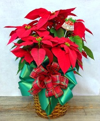 HOLIDAY SWEETHEART from Carl Johnsen Florist in Beaumont, TX