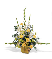 Sunny Days Reminder Basket from Carl Johnsen Florist in Beaumont, TX