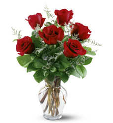 Half Dozen Red Roses from Carl Johnsen Florist in Beaumont, TX