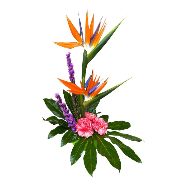 Tropical Special from Carl Johnsen Florist in Beaumont, TX