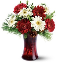 Festive Gerberas from Carl Johnsen Florist in Beaumont, TX