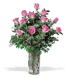 A Dozen Pink Roses from Carl Johnsen Florist in Beaumont, TX
