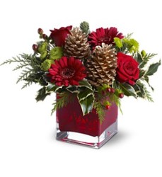 Teleflora's Cozy Christmas from Carl Johnsen Florist in Beaumont, TX