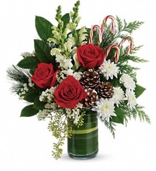 Teleflora's Festive Pines Bouquet from Carl Johnsen Florist in Beaumont, TX