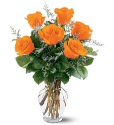 Half Dozen Orange Roses from Carl Johnsen Florist in Beaumont, TX