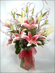 Striking Stargazers from Carl Johnsen Florist in Beaumont, TX