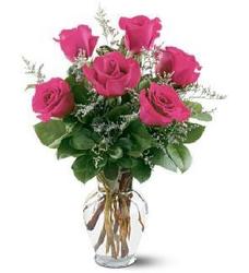 Half Dozen Hot Pink Roses from Carl Johnsen Florist in Beaumont, TX