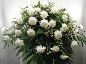 White Carnation Petite Casket Cover from Carl Johnsen Florist in Beaumont, TX
