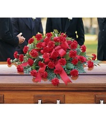 Teleflora's Red Carnation Casket Spray  from Carl Johnsen Florist in Beaumont, TX