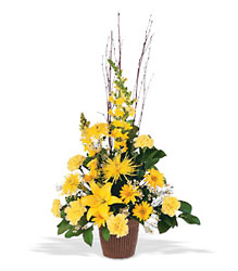 Brighter Blessings Arrangement from Carl Johnsen Florist in Beaumont, TX