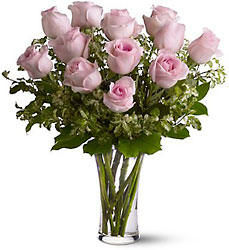 One Dozen Pink Roses from Carl Johnsen Florist in Beaumont, TX