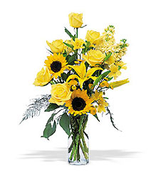 Blazing Sunshine from Carl Johnsen Florist in Beaumont, TX