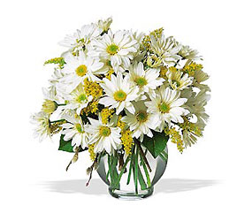 Daisy Cheer from Carl Johnsen Florist in Beaumont, TX